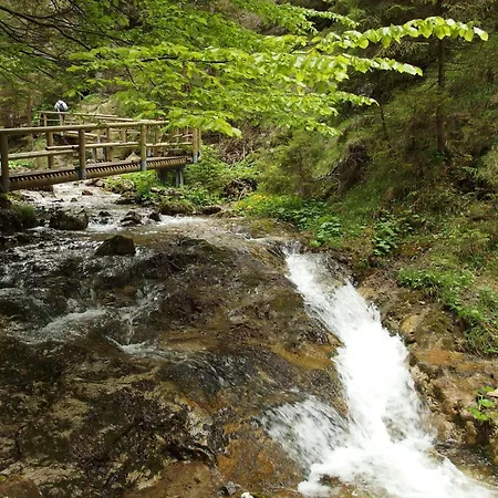 Janosik *